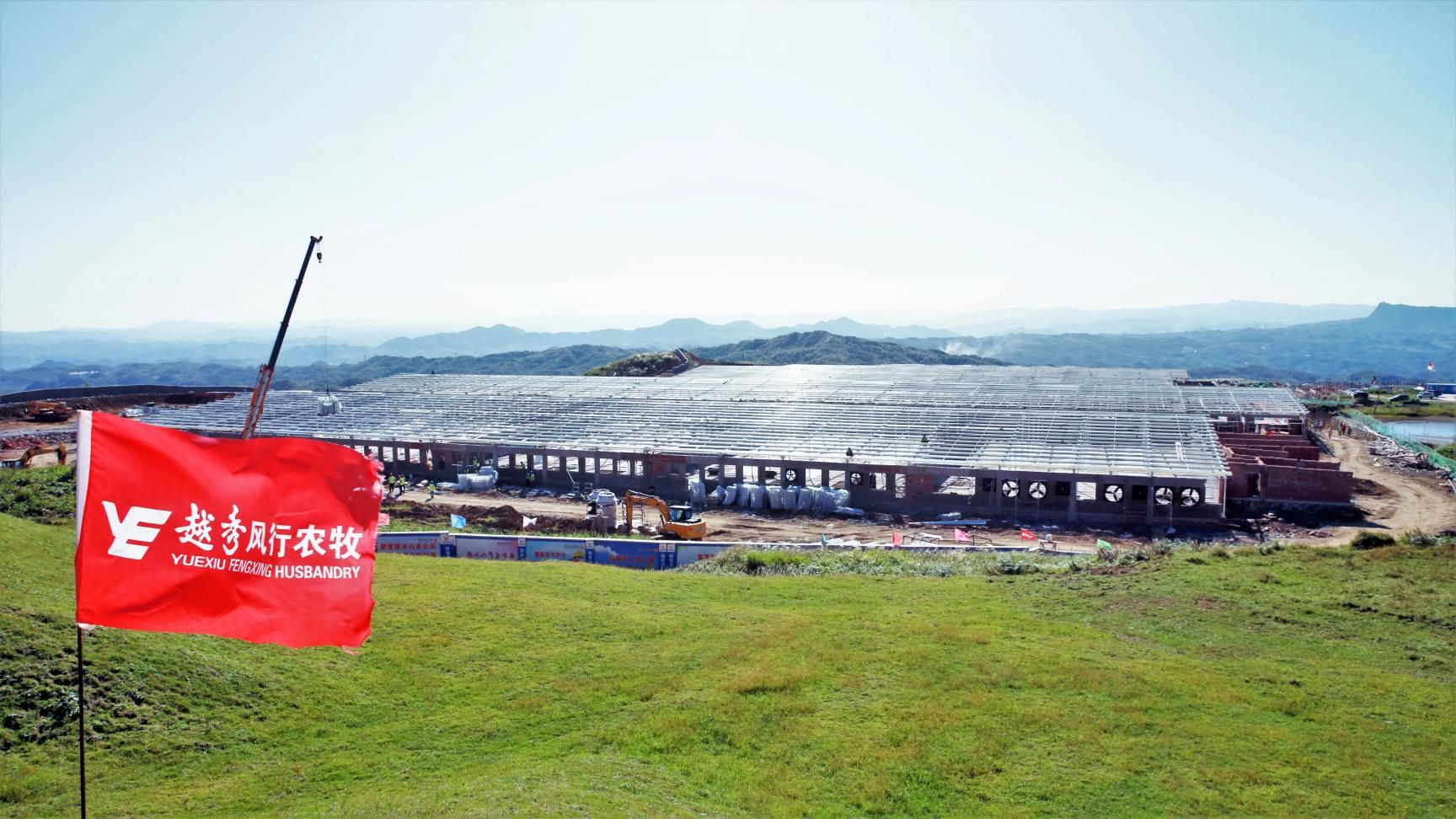 煙臺云邁科技與越秀農牧達成戰略合作，助力生豬線(xiàn)上銷(xiāo)售！
