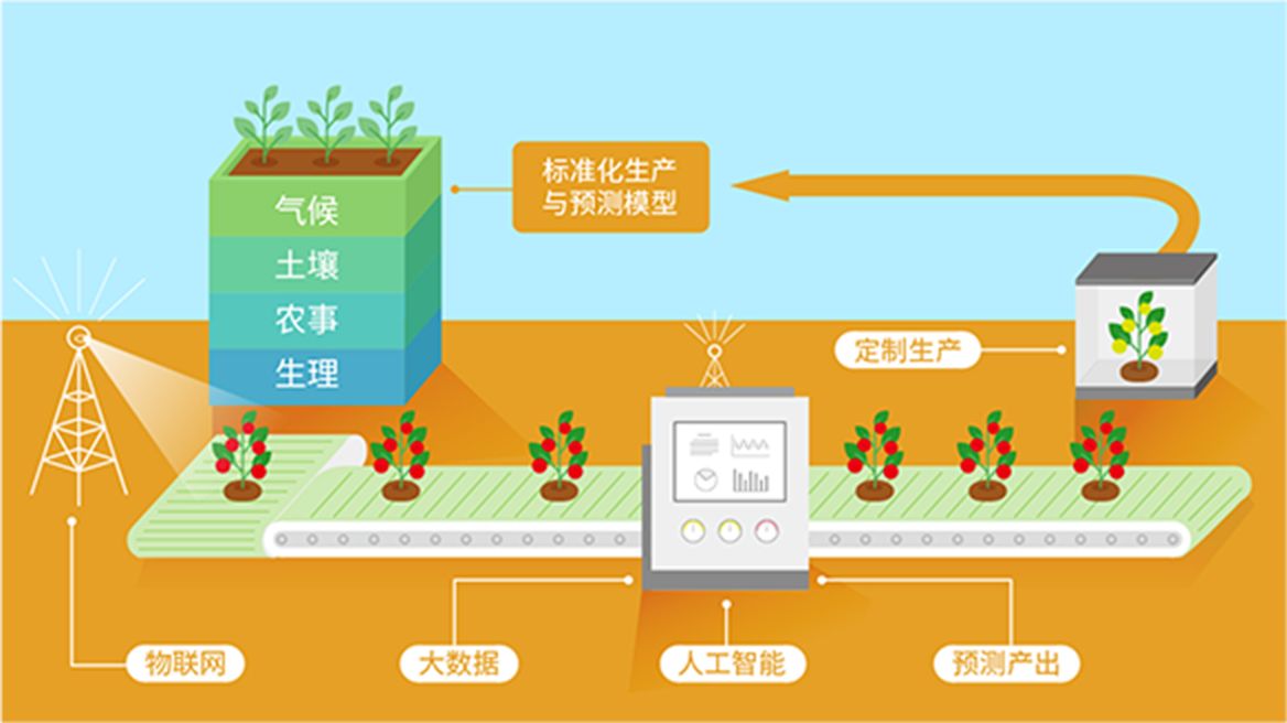 煙臺現代化農業(yè)平臺解決方案