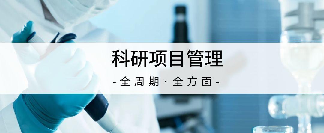 煙臺如何利用科研項目管理系統提高項目執行效率？