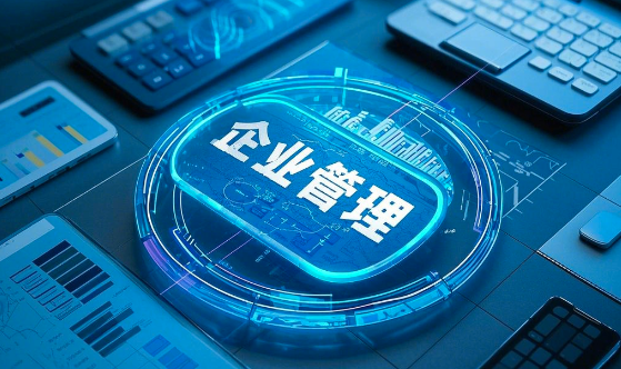 企業(yè)信息化開(kāi)發(fā)的好處以及優(yōu)勢